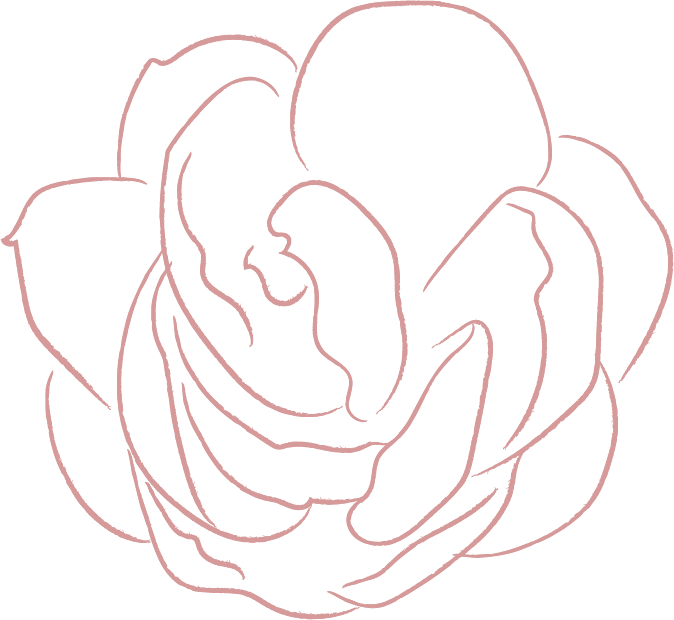 elements line drawing white jasmine flower illustrations FF57E82 2020 06 29 2 1